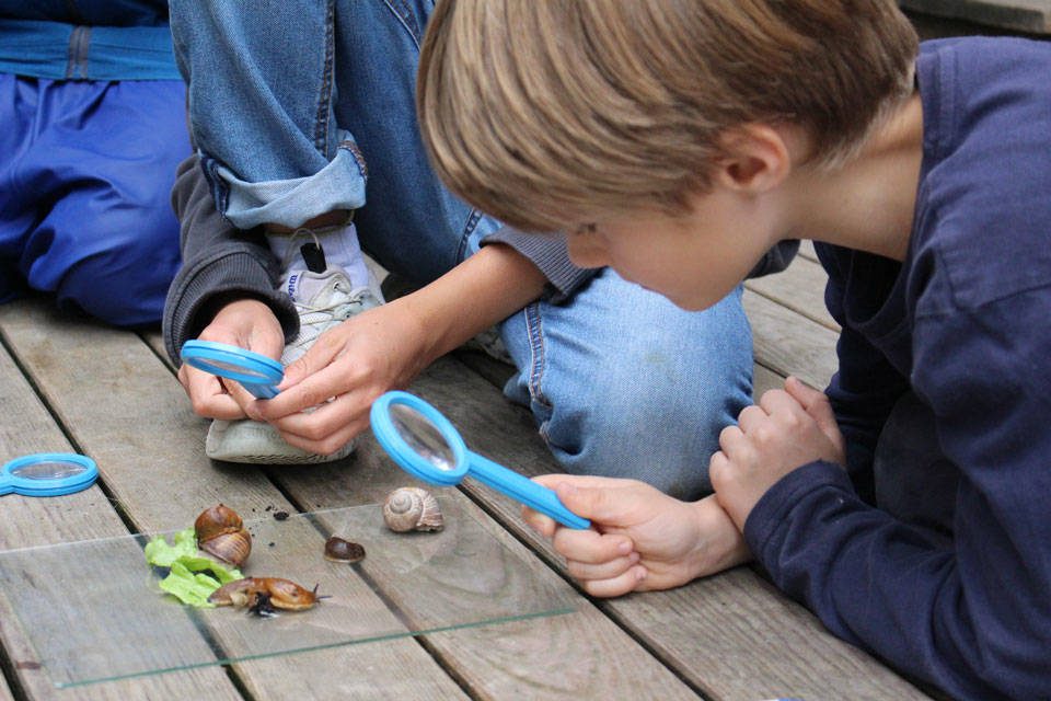 Einblick in den Lernort Grundacherschule